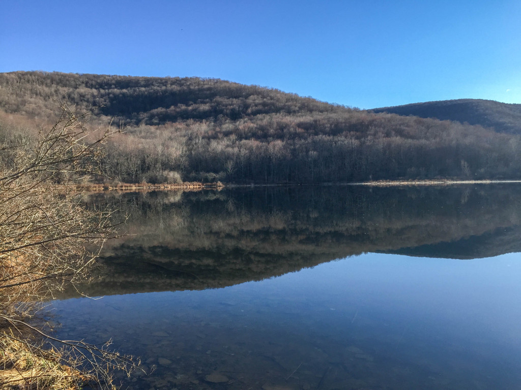 Alder Lake